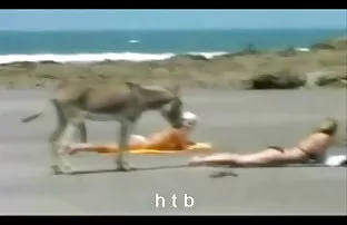 XXX DDF Ağı etiketini kullanabilirsiniz, Yüksek çözünürlüklü xd'de ponr indir